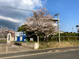 君津市立上総小櫃中学校