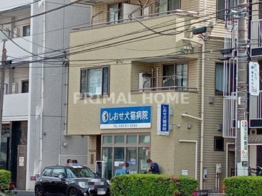 しおせ犬猫病院の画像1