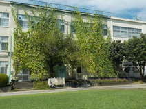 小学校 杉並区立済美小学校
