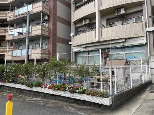 アリス保育園