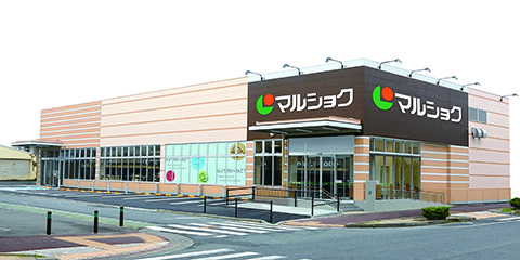 の画像