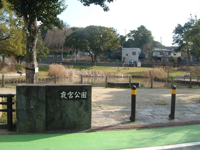 の画像