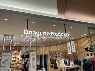 うなぎの寝床の画像1