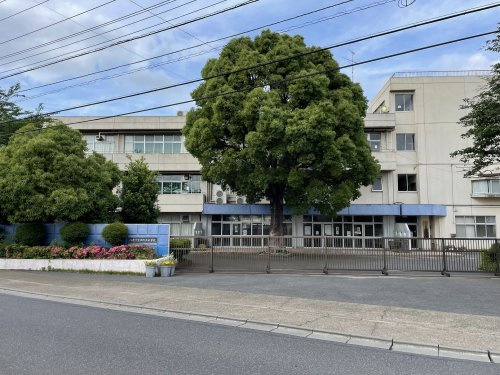 の画像