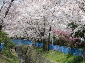 塚口北公園の画像1