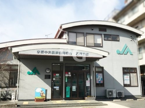の画像