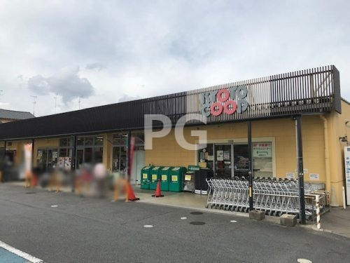 の画像