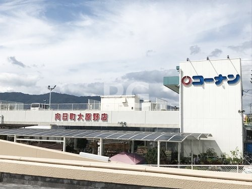 の画像