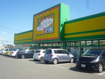 ザ・ダイソー 栃木国分寺町店