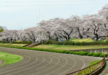 立川公園