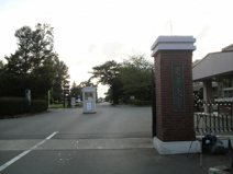 岩手大学