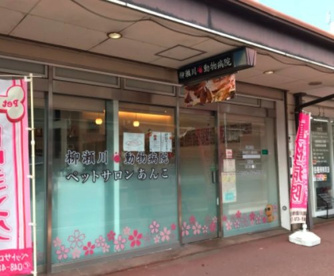 柳瀬川動物病院の画像1