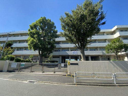 の画像