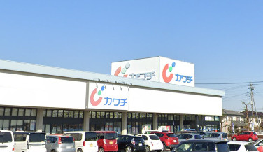 カワチ薬品本庄店の画像1