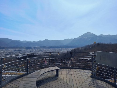 の画像
