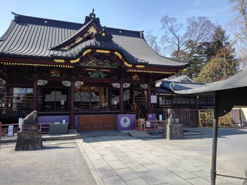 の画像