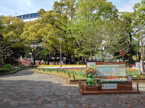 の画像