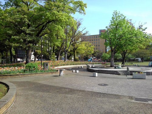 の画像