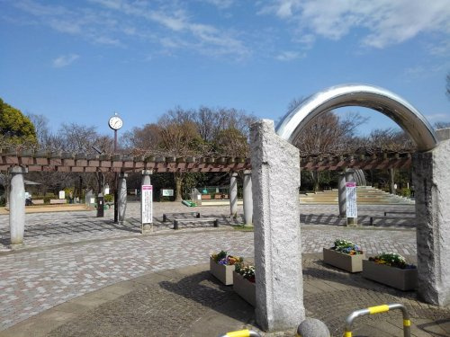 の画像