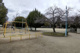 新森中央公園の画像