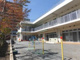 江東区立城東保育園の画像