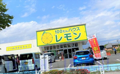 100円ハウス　レモンの画像1