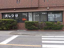 ジョイフルトレーニングの画像1
