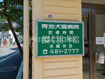 青池犬猫病院の画像2
