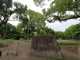 中村公園の画像