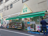 シバタ薬局