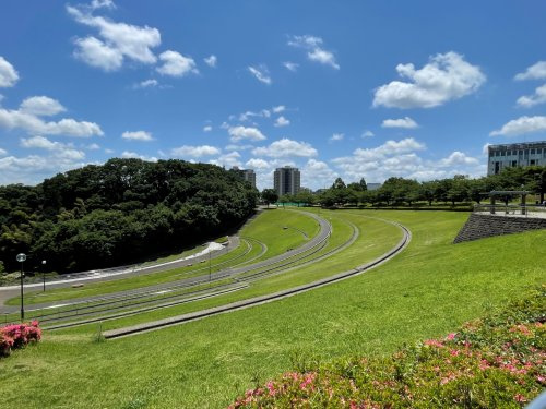 若葉台公園