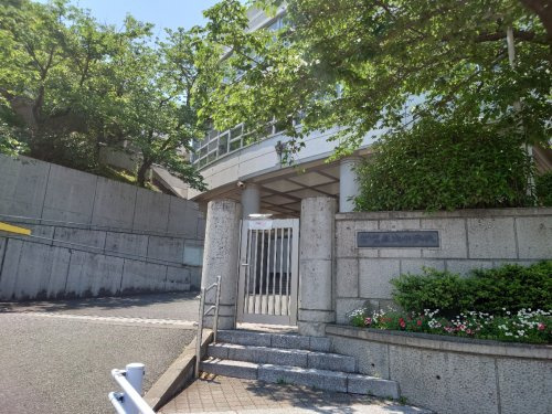 の画像