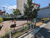 地蔵坂通り広場