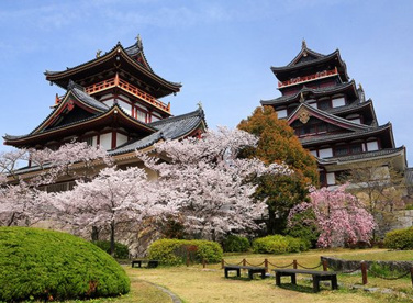 伏見桃山城の画像1