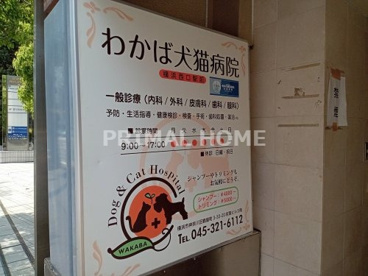 わかば犬猫病院の画像2