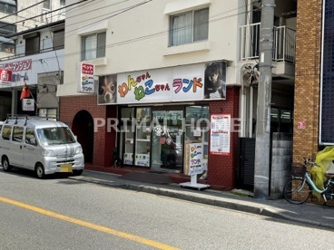 わんちゃんねこちゃんランド川崎店の画像1