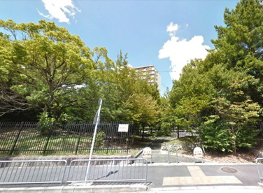 向島中央公園の画像2