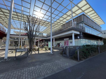 若葉ケヤキモールの画像1