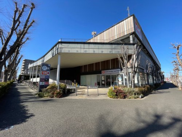 若葉ケヤキモールの画像4