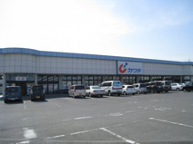 カワチ薬品箱森店