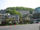 國學院栃木短大
