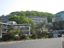 國學院栃木短大