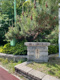 松葉公園の画像