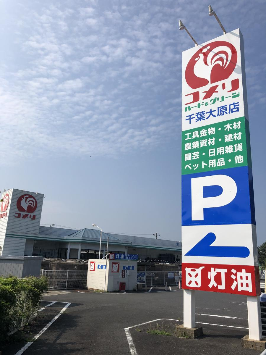 の画像
