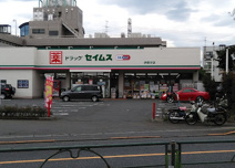 ドラッグストア ドラッグセイムス伊奈平店