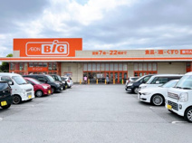 The Big(ザ・ビッグ) 富士荒田島店