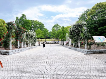 中央公園の画像1