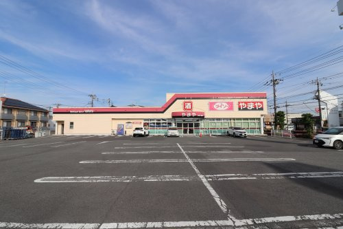 の画像