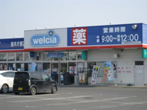 ウエルシア栃木片柳店