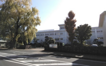 大分県立日田高校